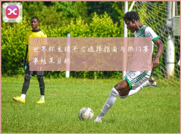 世界杯竞猜平台选择指南与热门赛事结果分析