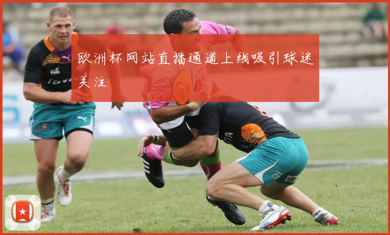 欧洲杯网站直播通道上线吸引球迷关注